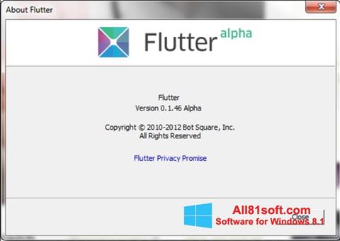 Skjermbilde Flutter Windows 8.1