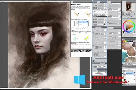 Skjermbilde Corel Painter Windows 8.1