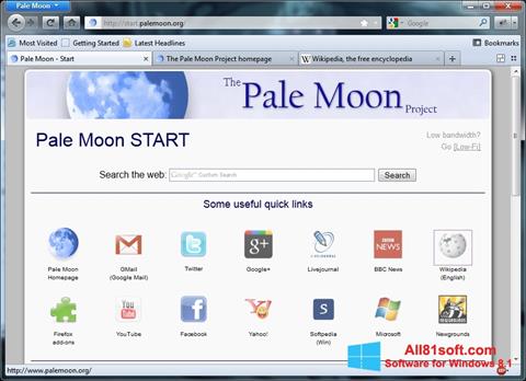 Skjermbilde Pale Moon Windows 8.1