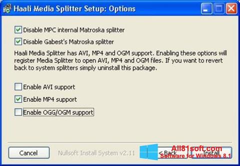 Skjermbilde Haali Media Splitter Windows 8.1