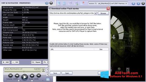 Skjermbilde FLV Player Windows 8.1