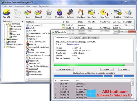 Skjermbilde Internet Download Manager Windows 8.1