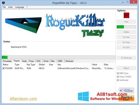 Skjermbilde RogueKiller Windows 8.1
