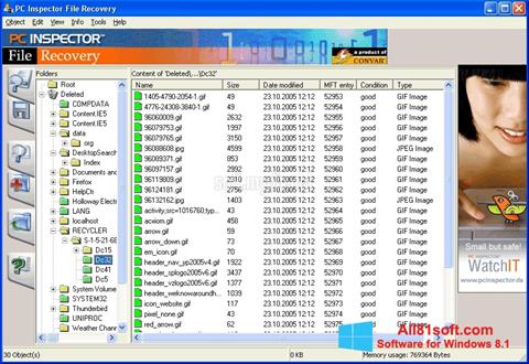 Skjermbilde PC Inspector File Recovery Windows 8.1