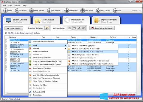 Skjermbilde Duplicate Cleaner Windows 8.1